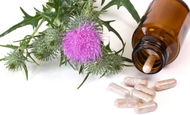 silymarin powder bulk benefits