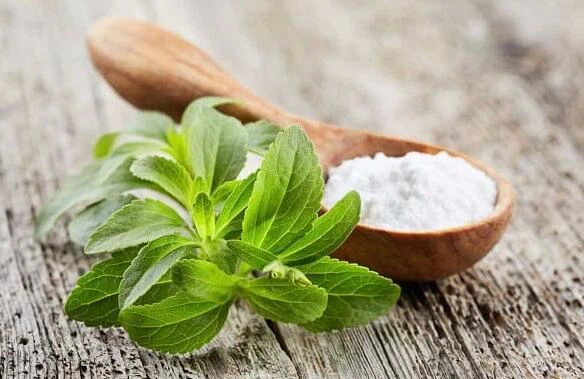 Stevia Artificial Sweetener Side Effects