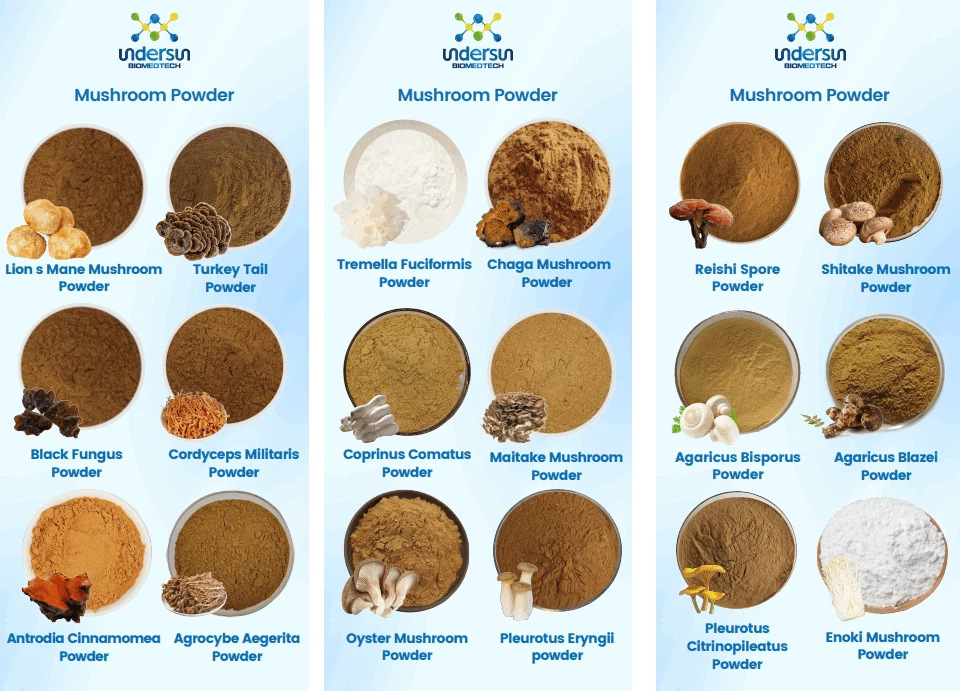 Meet undersun At Fine Food Australia 2025 Meet undersun At Fine Food Australia 2025