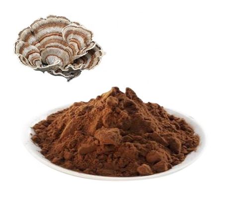 Výťažok z húb Coriolus Versicolor