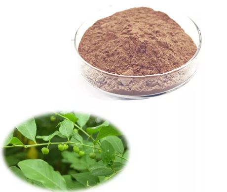 Prášok Phyllanthus Niruri