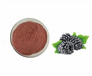 Mrazený sušený ostružinový prášok