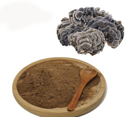 Výťažok z Trametes Versicolor